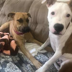 Meet your Posher, Renae